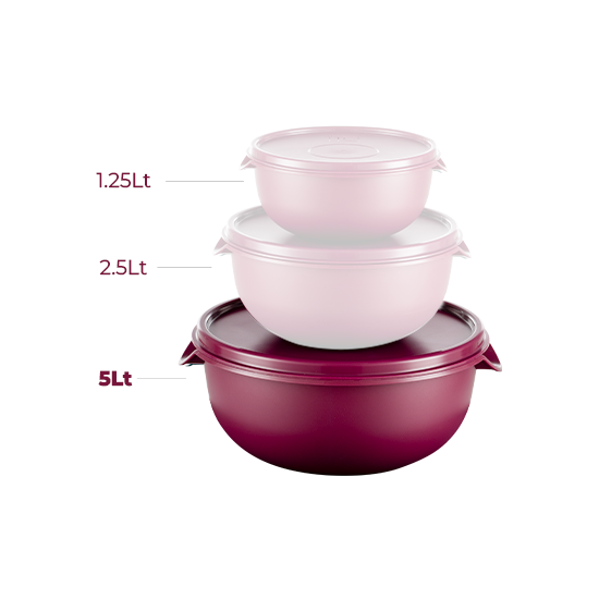 Bowl W/Lid 5Lt - Cherry - PS216