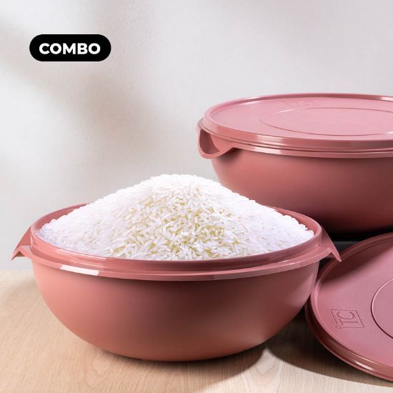 Picture of (PS211 + PS211) (2) Bowls With Lids 10Lt Coral